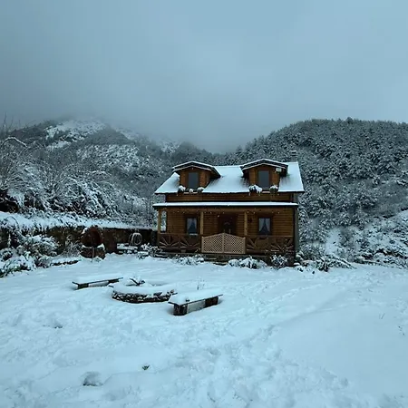 Golden Villa