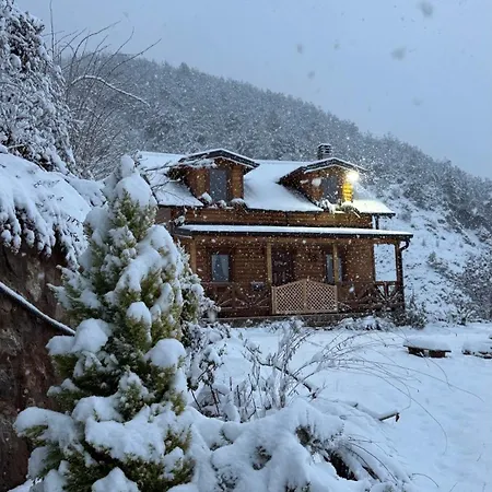 Villa Golden Elbasan