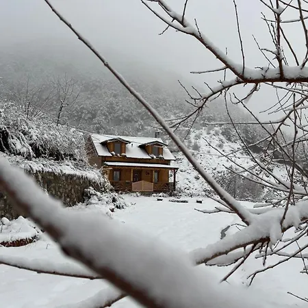 Golden Villa Elbasan