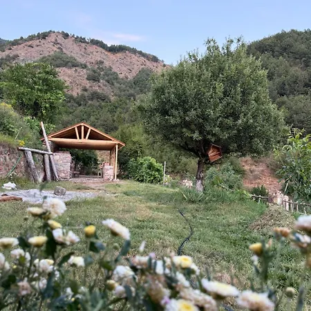 Villa Golden